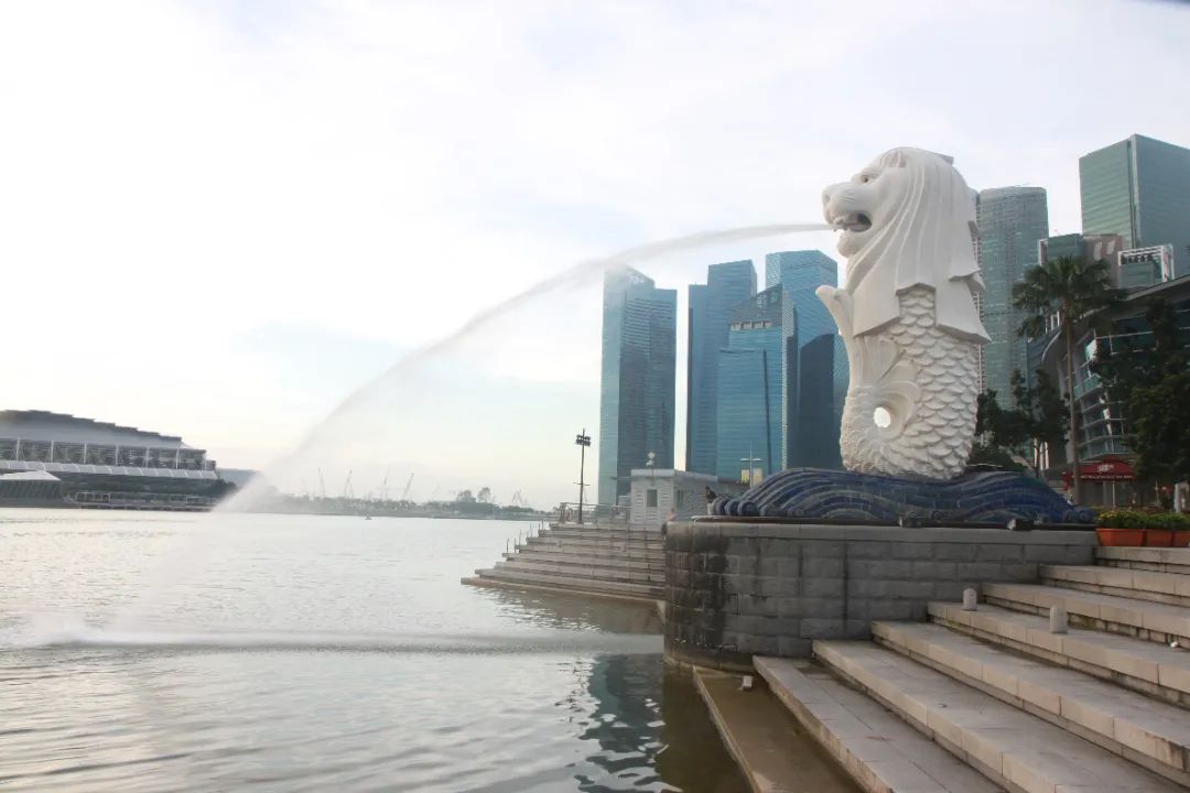 0125a pg国际-不凡成就非凡,相信品牌的力量