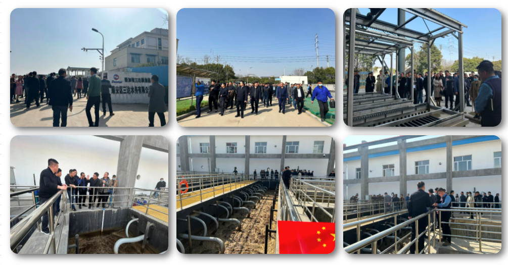 17 pg国际-不凡成就非凡,相信品牌的力量