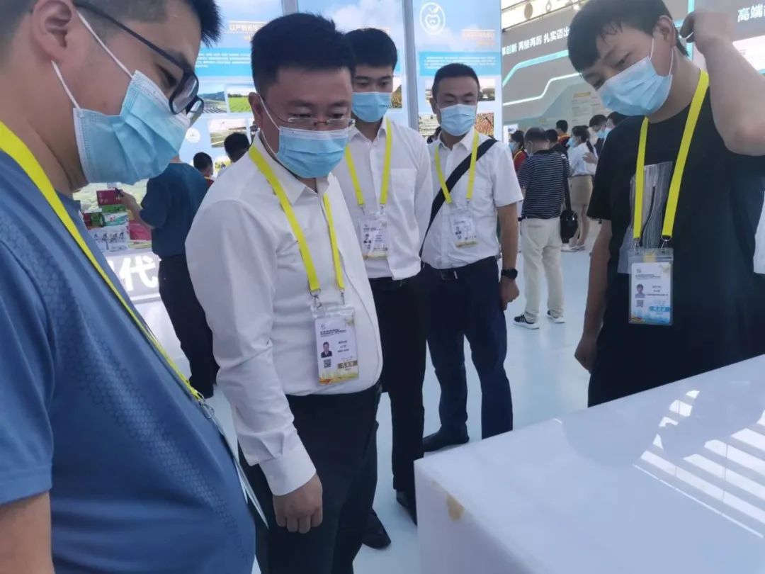 333333 pg国际-不凡成就非凡,相信品牌的力量