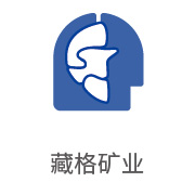 pg国际合作伙伴：藏格矿业
