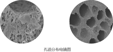 孔道分布电镜图 pg国际-不凡成就非凡,相信品牌的力量